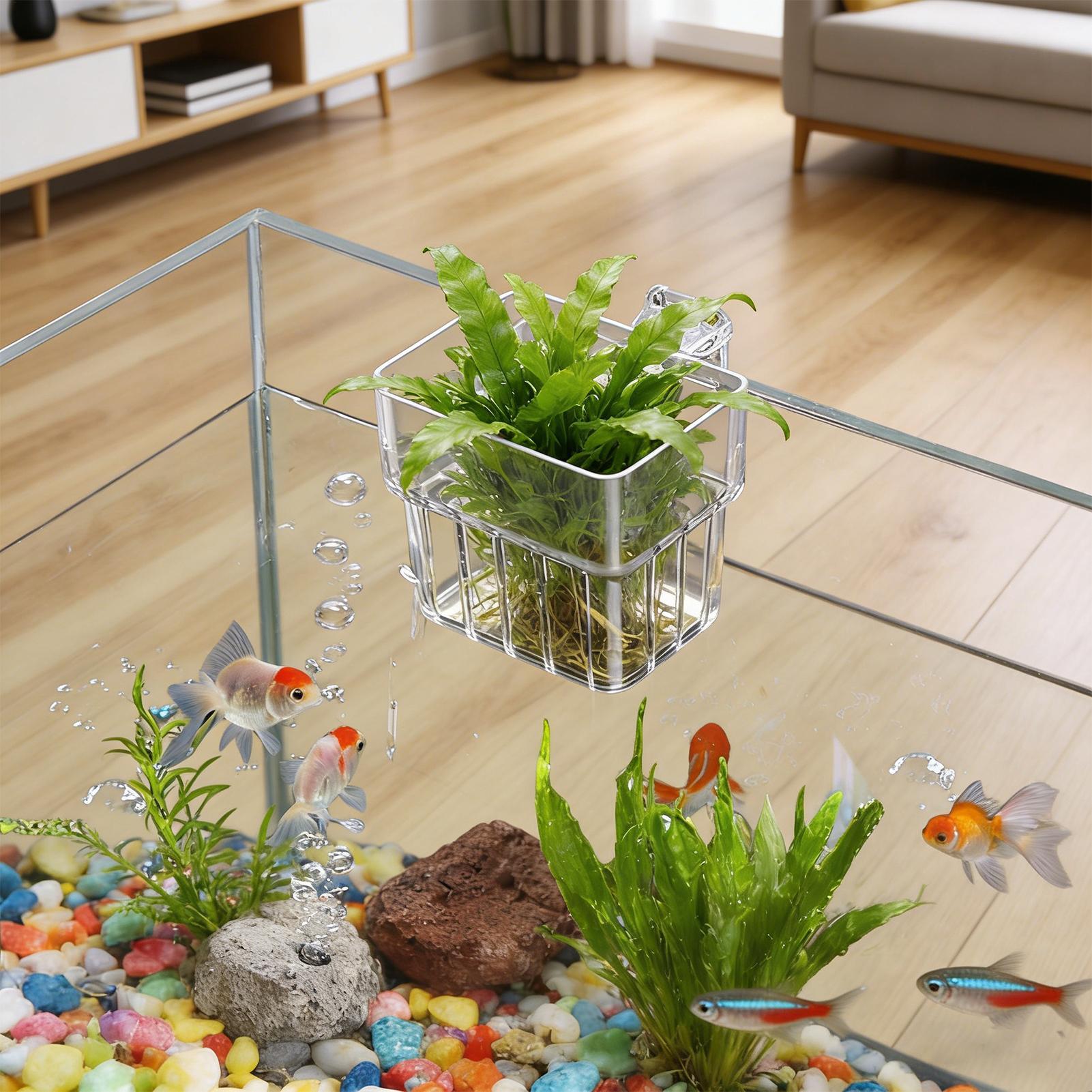 Gardening Tools Brands - Pot Tanaman Akuarium Transparan yang Dapat