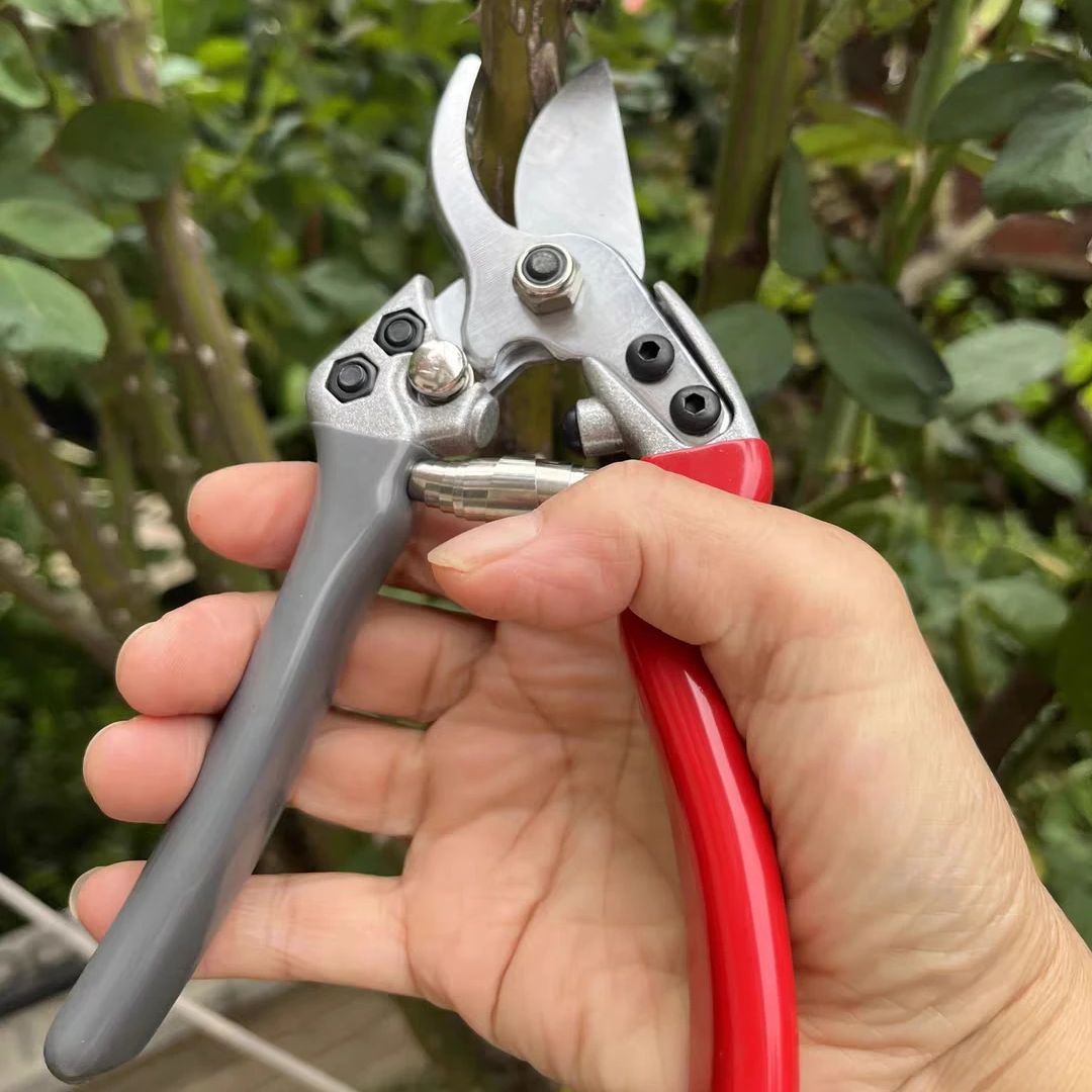 Gardening Tools Japan - Gunting Pangkas Taman Jepang Vvt New