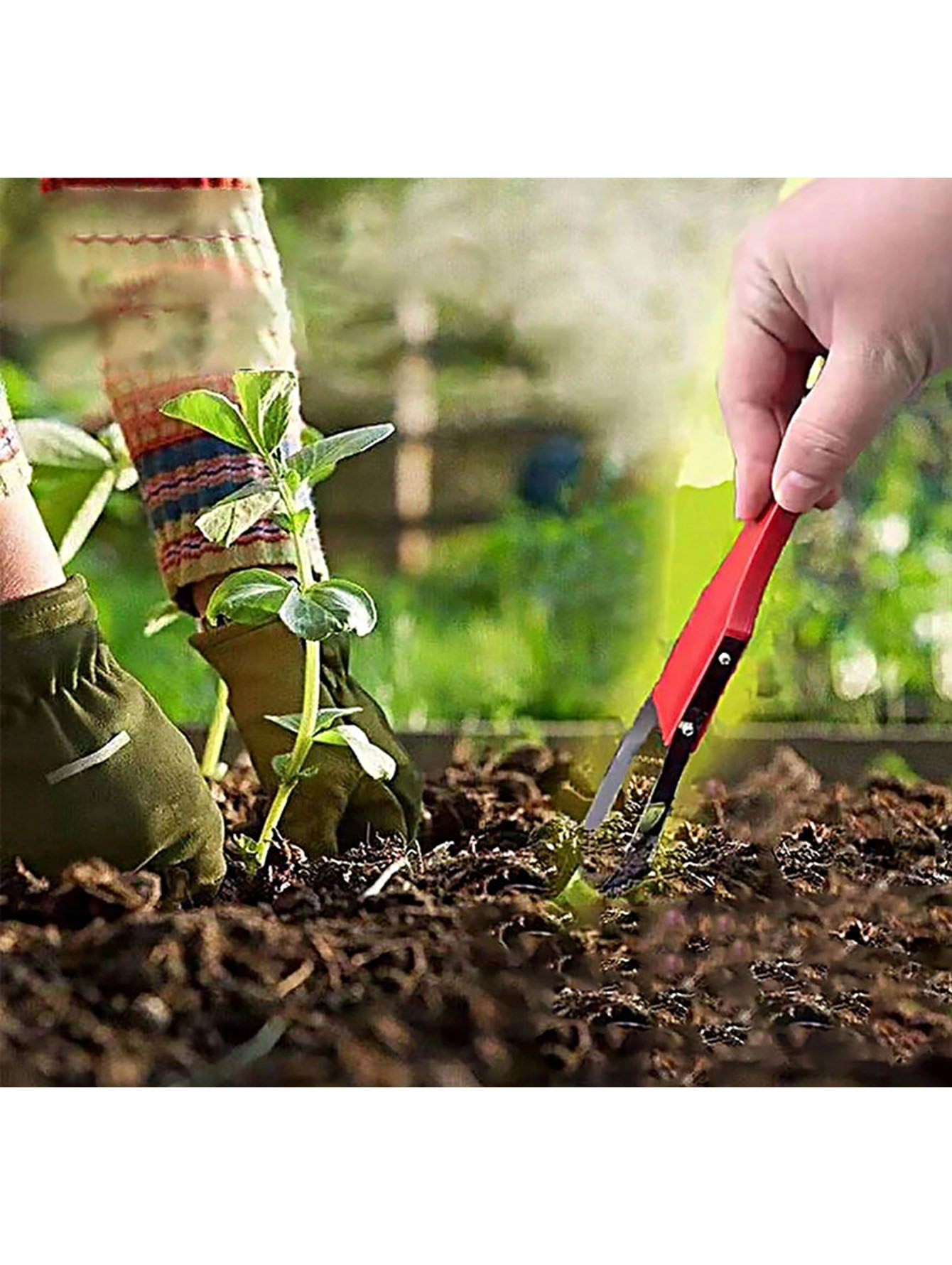 Penyiang Gulma Manual Plastik  - Weed Puller ulasan dan harga