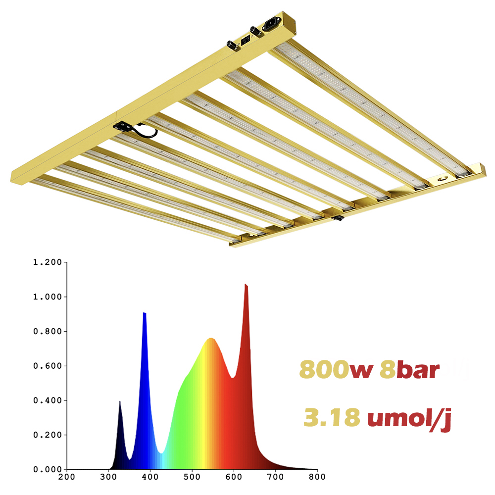 Lampu Tumbuh LED TIDESTAR 800w - Led Grow Light ulasan dan harga