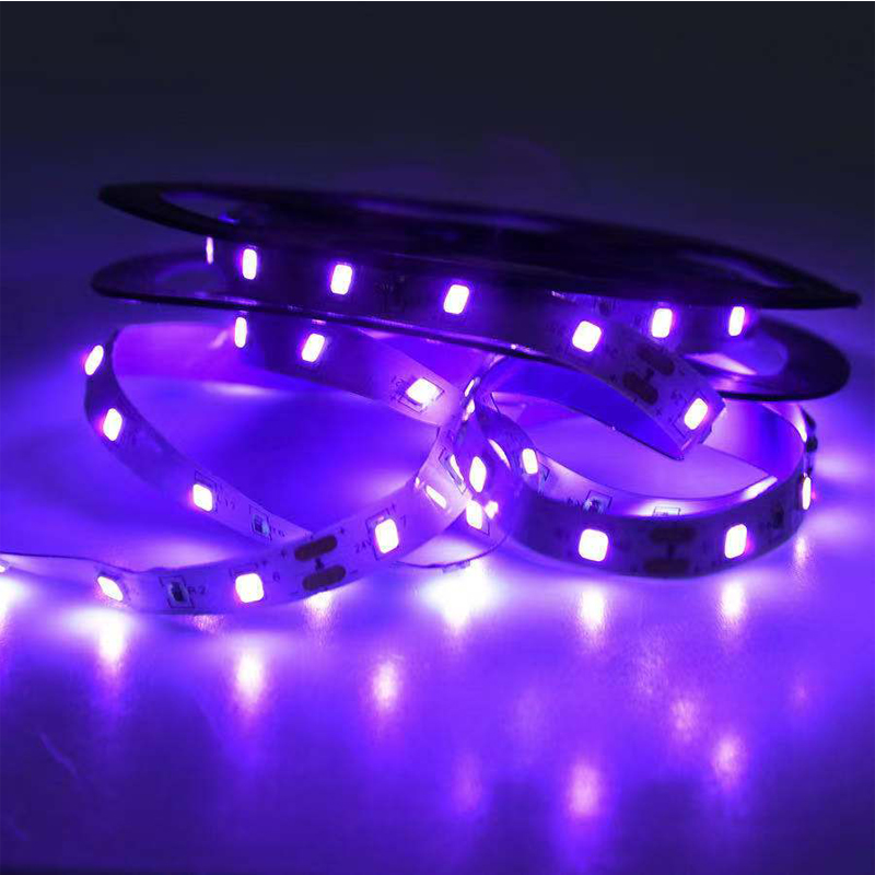 Lampu Ultraviolet LED UV, Lamp - Led Grow Light ulasan dan harga