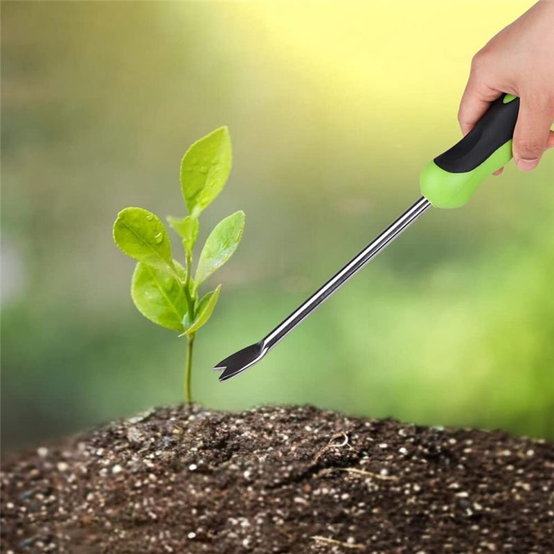 ABLK 2 Paket Alat Penyiang Gul - Weed Puller ulasan dan harga