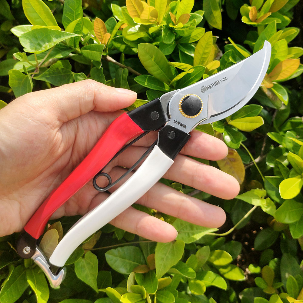 Taiwan Sakawada 168l alat berk - Gardening Tools Japan ulasan dan harga