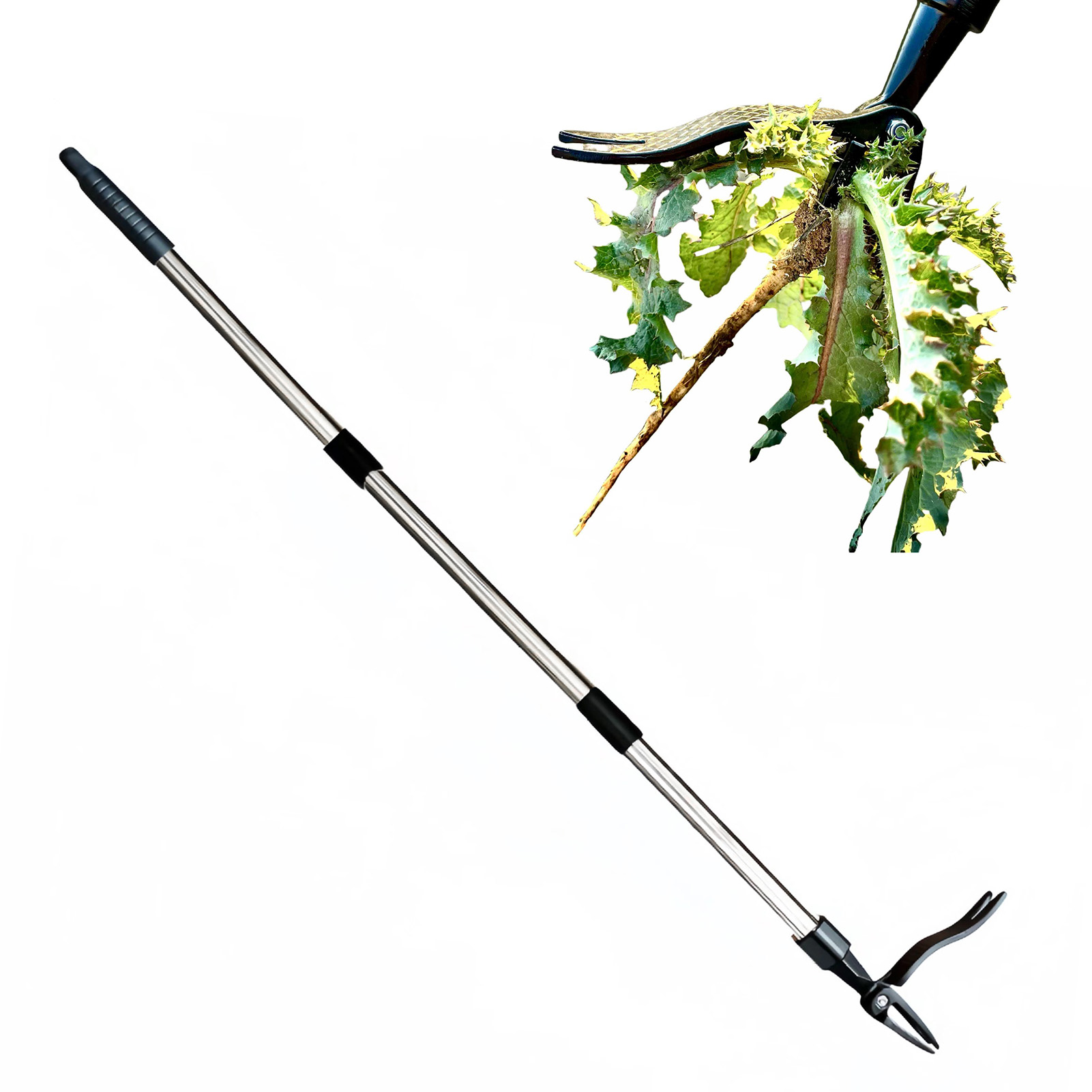 4 Cakar Penarik Gulma Berdiri  - Weed Puller ulasan dan harga