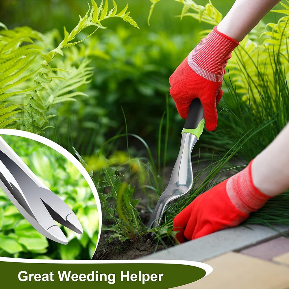 Alat Penyiang Gulma Manual, Al - Weed Puller ulasan dan harga