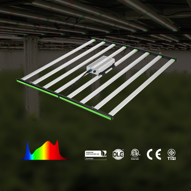 Lampu LED Spektrum Penuh Lm301 - Led Grow Light ulasan dan harga