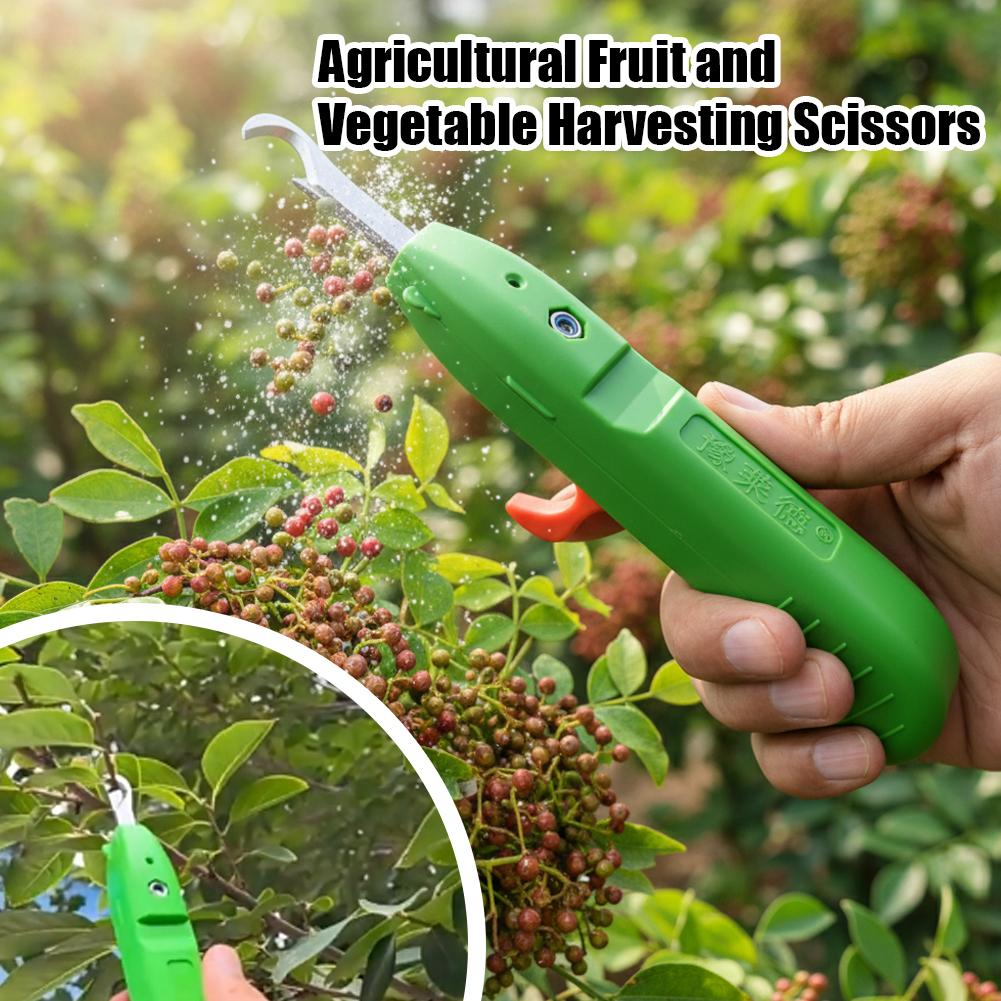 Gunting Pemetik Buah dan Sayur - Gardening Tools Basic ulasan dan harga