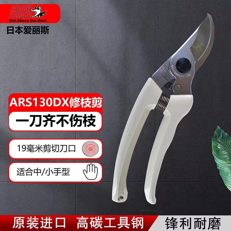 Gunting pangkas, peralatan tam - Gardening Tools Japan ulasan dan harga
