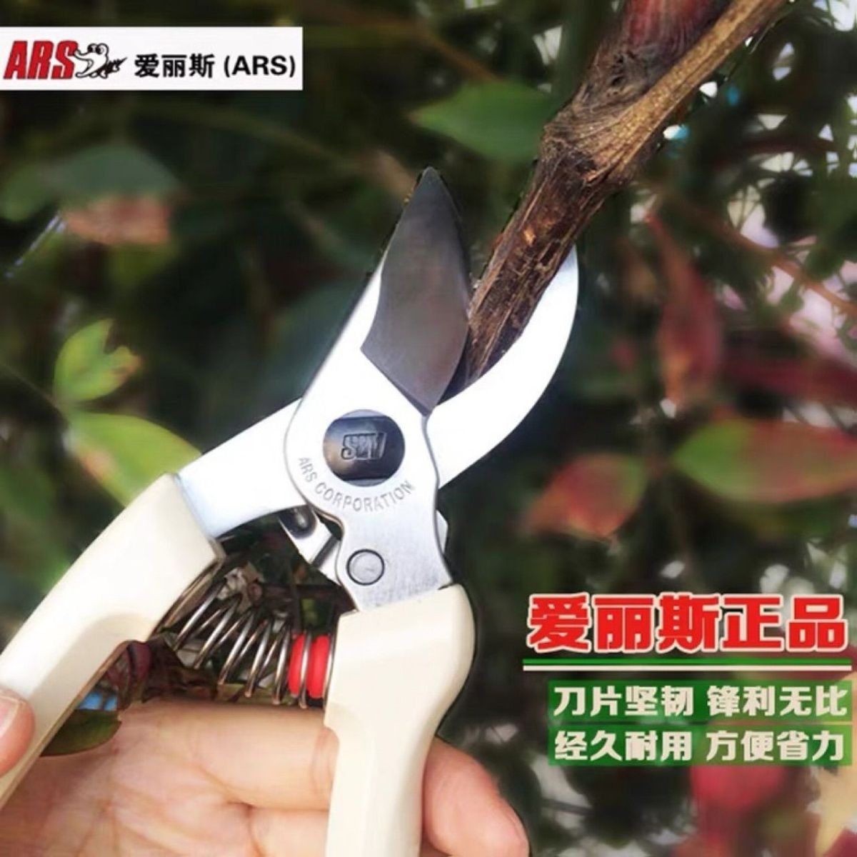 Gunting pangkas, peralatan tam - Gardening Tools Japan ulasan dan harga