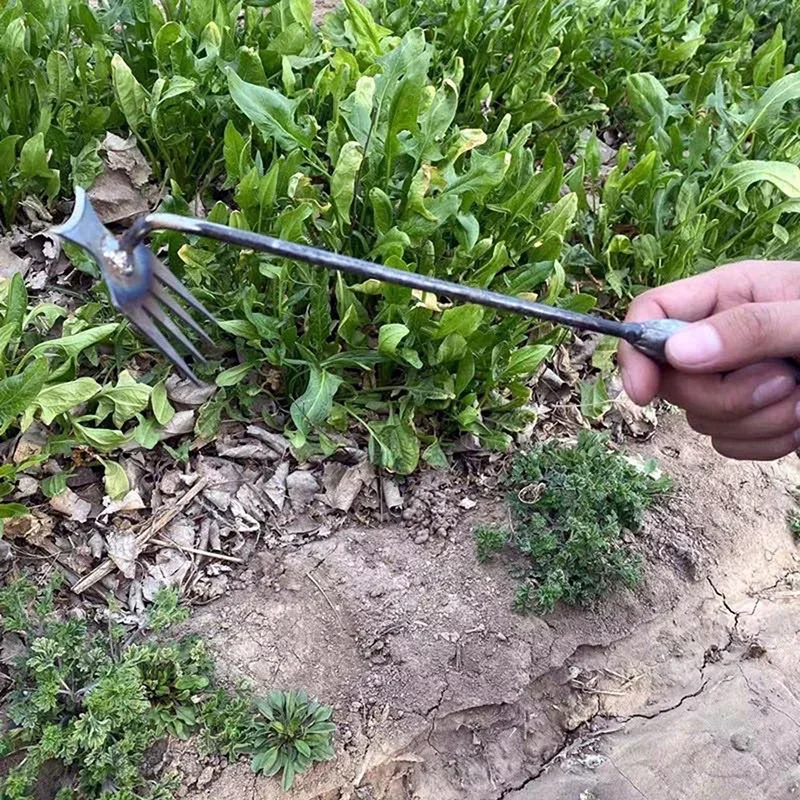 Penyiang Rumput Tangan, Penyia - Weed Puller ulasan dan harga