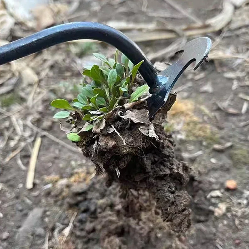 Penyiang Rumput Tangan, Penyia - Weed Puller ulasan dan harga