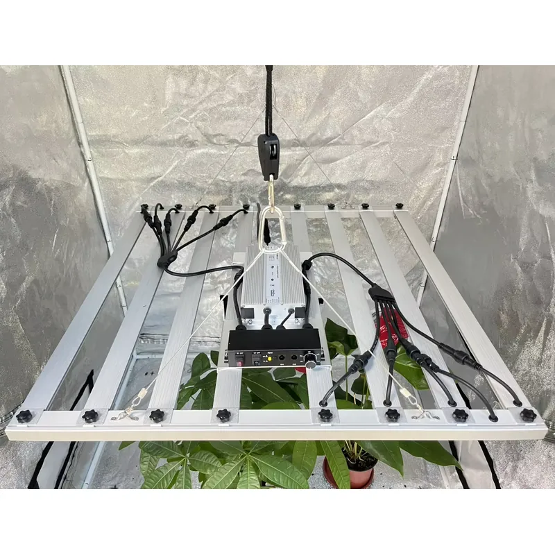 Driver Lampu Tanam 600W Invent - Led Grow Light ulasan dan harga