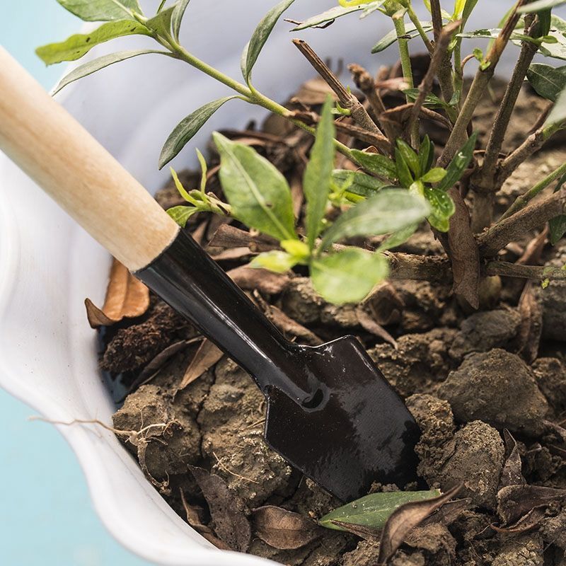 3 Buah/1Set Alat Berkebun Mini - Gardening Tools Shovel ulasan dan harga