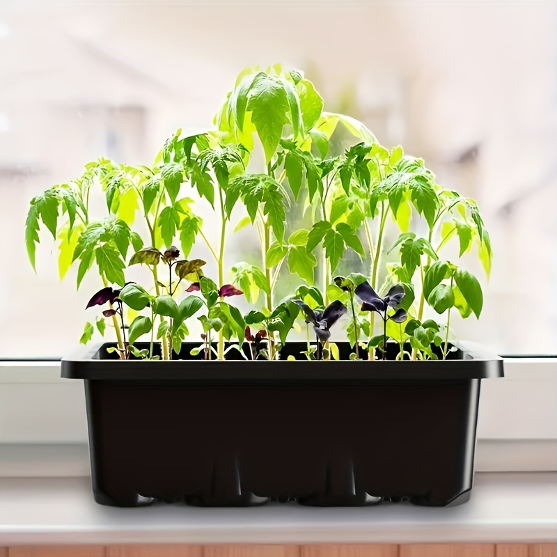 Kit Pemula Penyemaian 1/2/3 Se - Led Grow Light ulasan dan harga