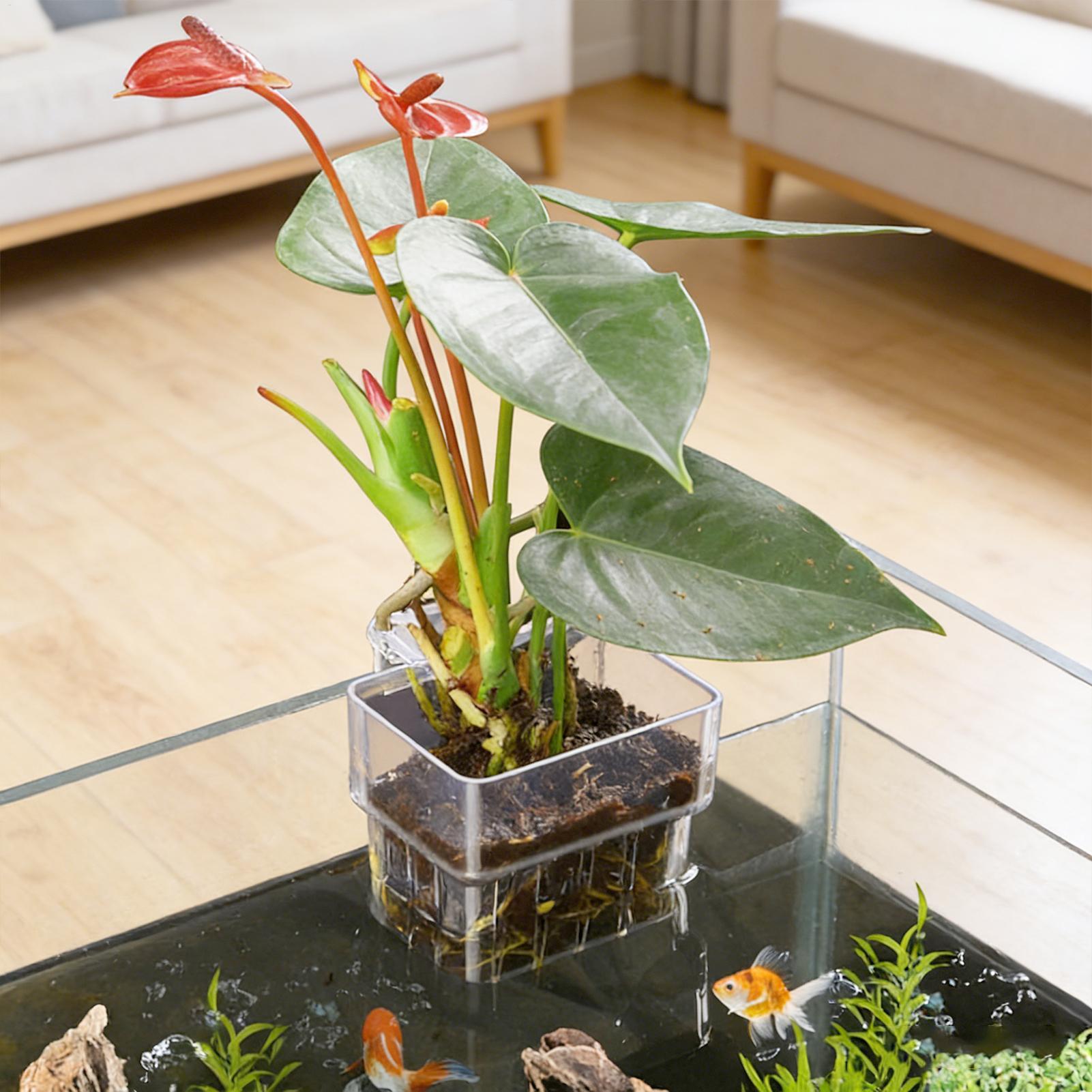 Pot Tanaman Akuarium Transpara - Gardening Tools Brands ulasan dan harga