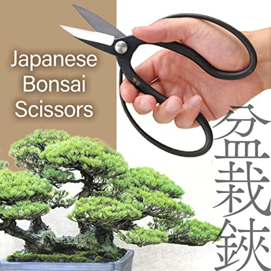 Gunting Bonsai Suiryu Jepang - - Gardening Tools Japan ulasan dan harga