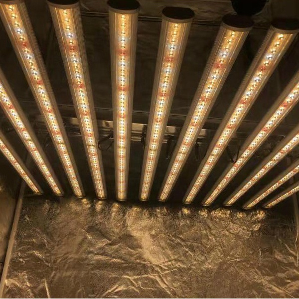 Lampu Tanam LED Pabrik LUX Chi - Led Grow Light ulasan dan harga