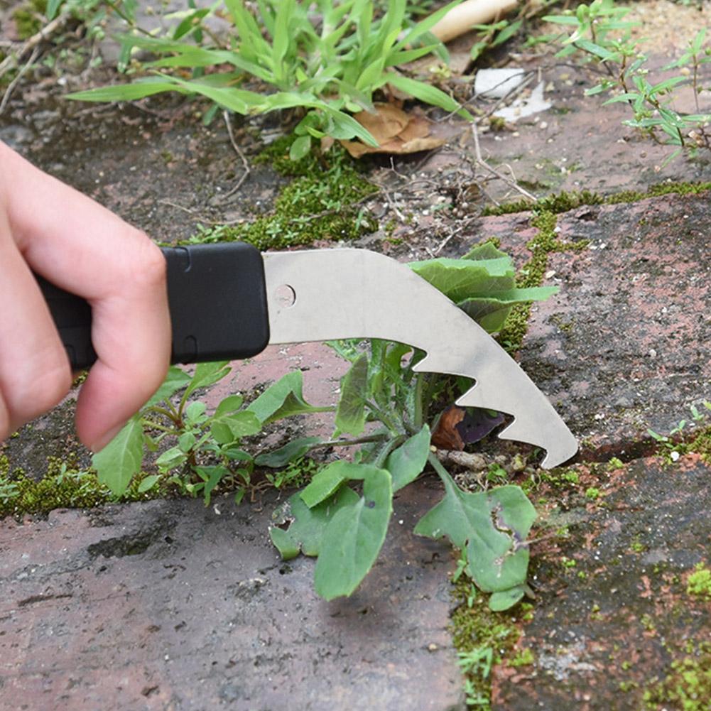 1/2 Buah Alat Penghilang Gulma - Weed Puller ulasan dan harga